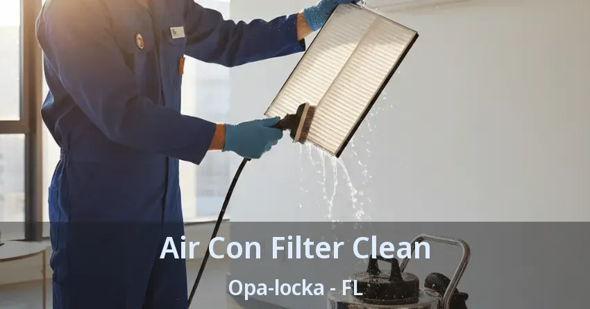 Air Con Filter Clean Opa-locka - FL Air Con Filter Clean Opa-locka - FL