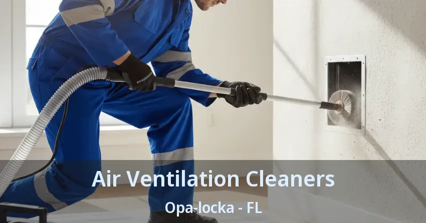 Air Ventilation Cleaners Opa-locka - FL