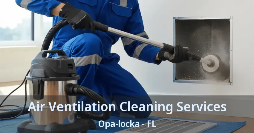 Air Ventilation Cleaning Services Opa-locka - FL
