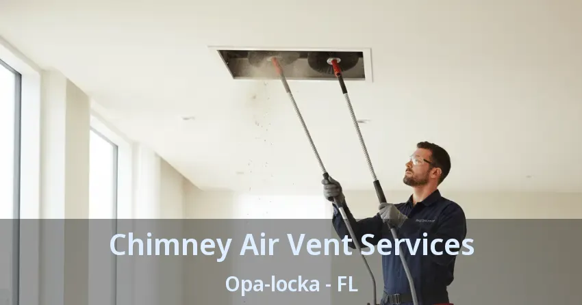 Chimney Air Vent Services Opa-locka - FL