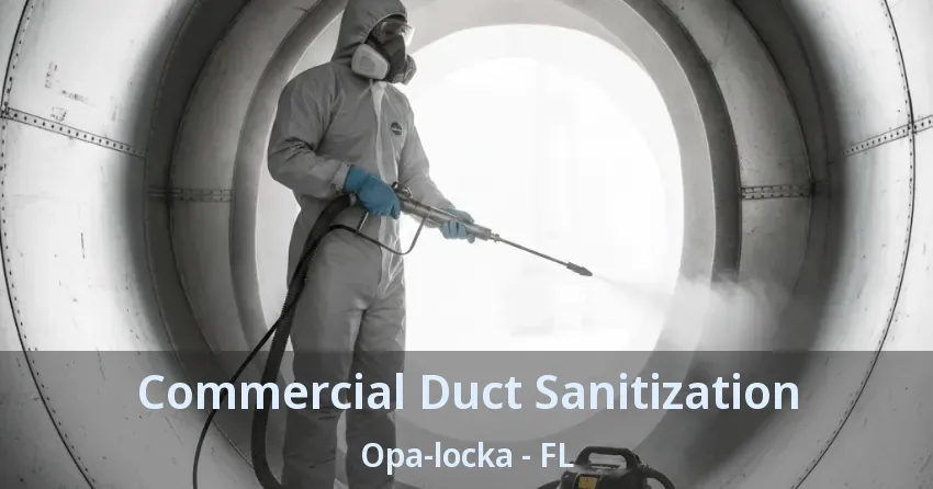 Commercial Duct Sanitization Opa-locka - FL