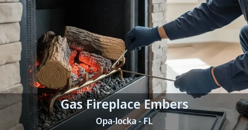 Gas Fireplace Embers Opa-locka - FL