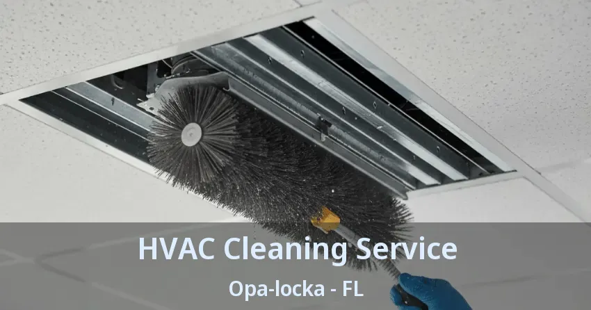 HVAC Cleaning Service Opa-locka - FL