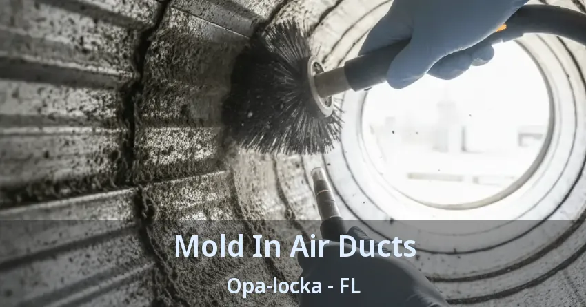 Mold In Air Ducts Opa-locka - FL
